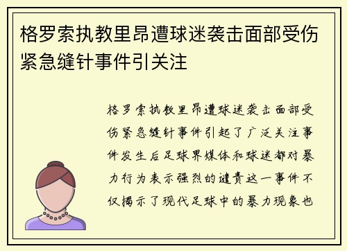 格罗索执教里昂遭球迷袭击面部受伤紧急缝针事件引关注