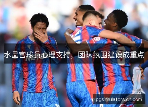 水晶宫球员心理支持，团队氛围建设成重点